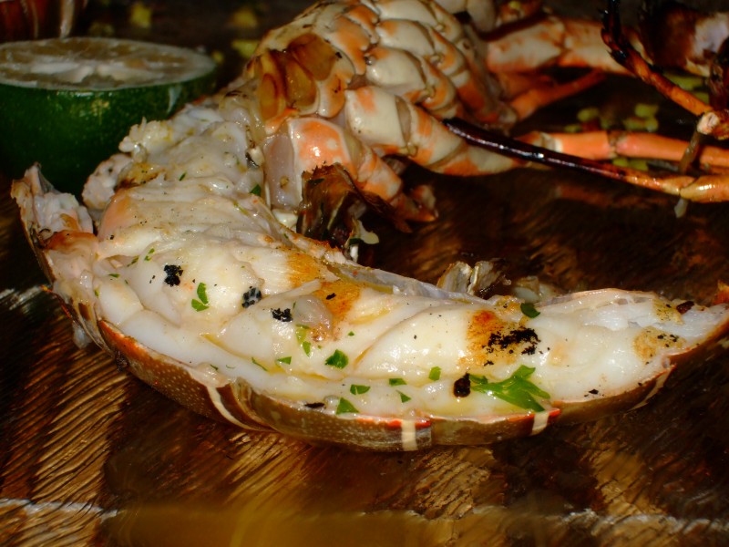 Mauritius 2010 - 0232 